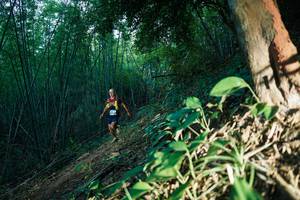 BIB: 
                            <button type="button" onclick="openModal(28124026)" class="btn btn-primary btn-sm float-right btn-popup" data-toggle="modal" data-target=".modal-high-quality">
                        <i class="fas fa-shopping-cart"></i> Add to Cart
                    </button>
                                            <button type="button" onclick="isThisMe(28124026, true)" class="btn btn-success btn-sm float-right btn-popup btn-isme hidden" data-toggle="tooltip" data-placement="bottom" title="นี่คือรูปของคุณใช่ไหม คลิกที่นี่เพื่อเอาเข้าอัลบั้ม">
                        <i class="fas fa-plus"></i> Add to album
                    </button>
                    <button type="button" onclick="isThisMe(28124026, false)" class="btn btn-warning btn-sm float-right btn-popup btn-isnotme hidden">
                        <i class="fas fa-ban"></i> Remove from album
                    </button>